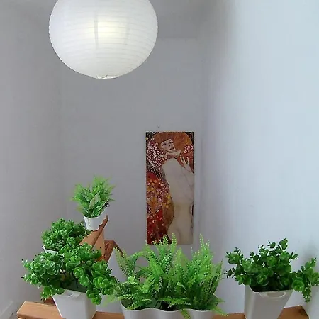 Daire Center Cruz, Centrico Con Gran Terraza, Cocina , Salon Y Banos, Todo Privado *