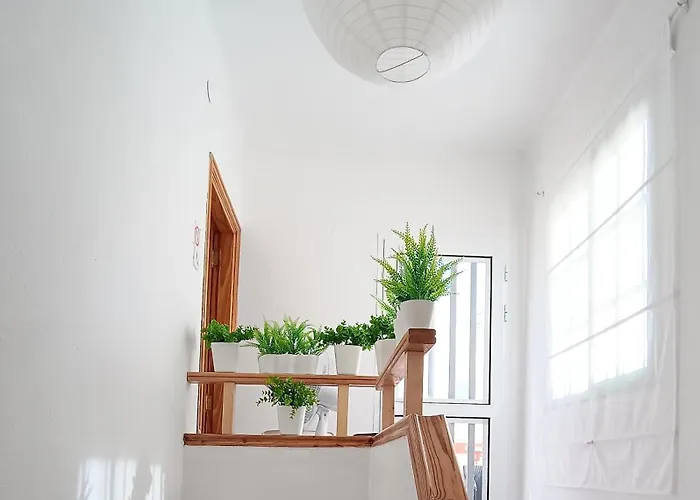 Apartmán Center Cruz, Centrico Con Gran Terraza, Cocina , Salon Y Banos, Todo Privado *