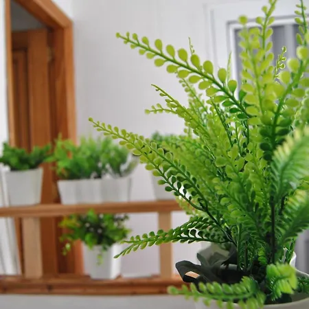 Center Cruz, Centrico Con Gran Terraza, Cocina , Salon Y Banos, Todo Privado *