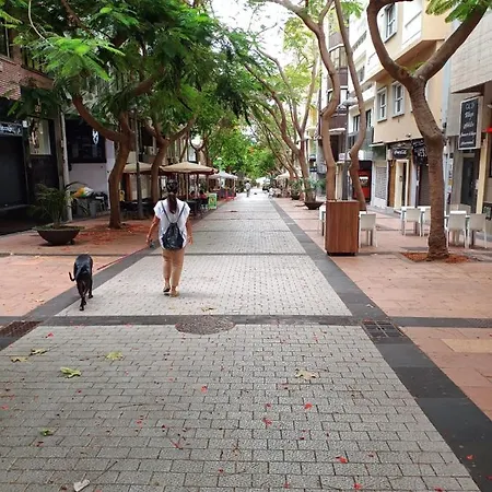 Center Cruz, Centrico Con Gran Terraza, Cocina , Salon Y Banos, Todo Privado سانتا كروز دي تينيريف