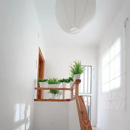 شقة Center Cruz, Centrico Con Gran Terraza, Cocina , Salon Y Banos, Todo Privado *