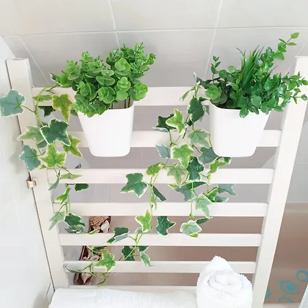 Center Cruz, Centrico Con Gran Terraza, Cocina , Salon Y Banos, Todo Privado شقة