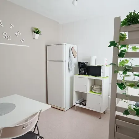 Center Cruz, Centrico Con Gran Terraza, Cocina , Salon Y Banos, Todo Privado *