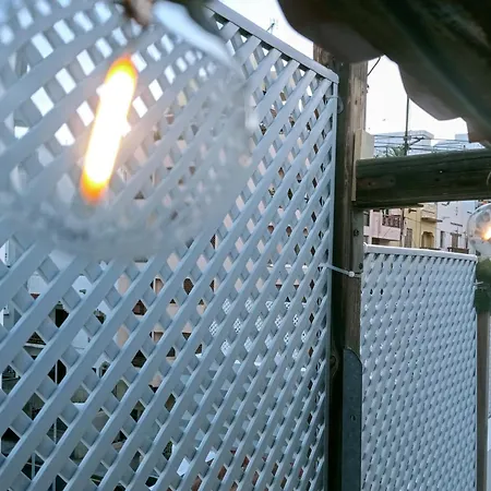 Center Cruz, Centrico Con Gran Terraza, Cocina , Salon Y Banos, Todo Privado