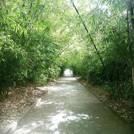 Center Cruz, Centrico Con Gran Terraza, Cocina , Salon Y Banos, Todo Privado شقة *