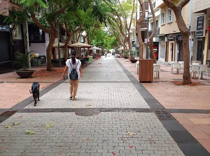 Center Cruz, Centrico Con Gran Terraza, Cocina , Salon Y Banos, Todo Privado סנטה קרוז דה טנריף