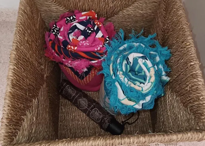 Center Cruz, Centrico Con Gran Terraza, Cocina , Salon Y Banos, Todo Privado דירה