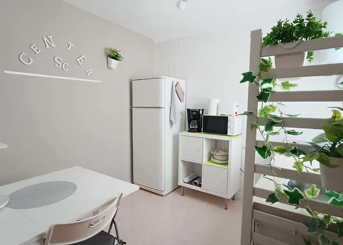 Center Cruz, Centrico Con Gran Terraza, Cocina , Salon Y Banos, Todo Privado *