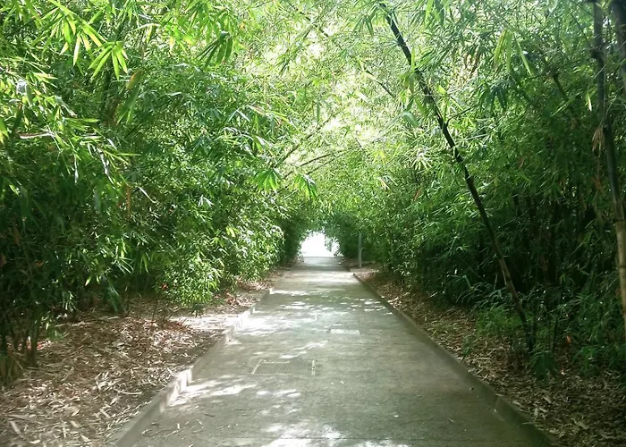 Center Cruz, Centrico Con Gran Terraza, Cocina , Salon Y Banos, Todo Privado דירה *