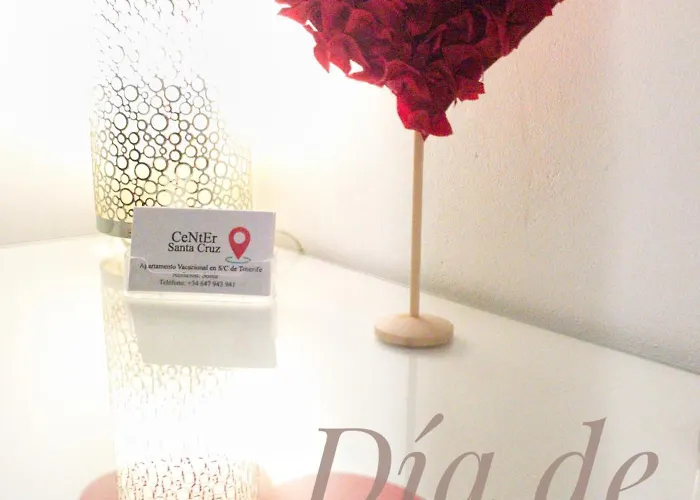 Center Cruz, Centrico Con Gran Terraza, Cocina , Salon Y Banos, Todo Privado דירה