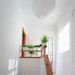 شقة Center Cruz, Centrico Con Gran Terraza, Cocina , Salon Y Banos, Todo Privado *