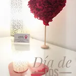 Center Cruz, Centrico Con Gran Terraza, Cocina , Salon Y Banos, Todo Privado شقة